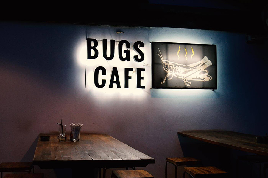 Bugs cafe est l'un des restaurants locaux à Siem Reap