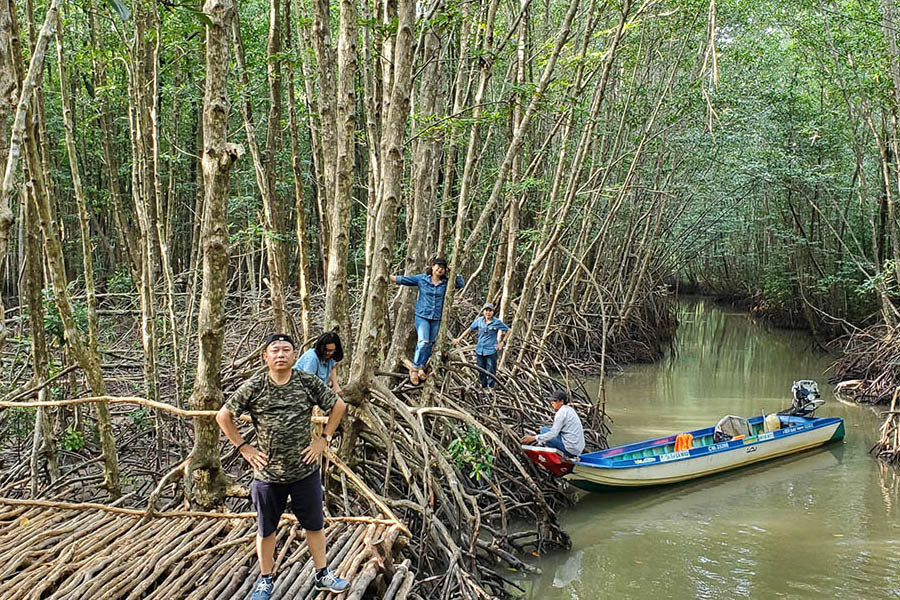 Forêt de mangroves de Rach Goc