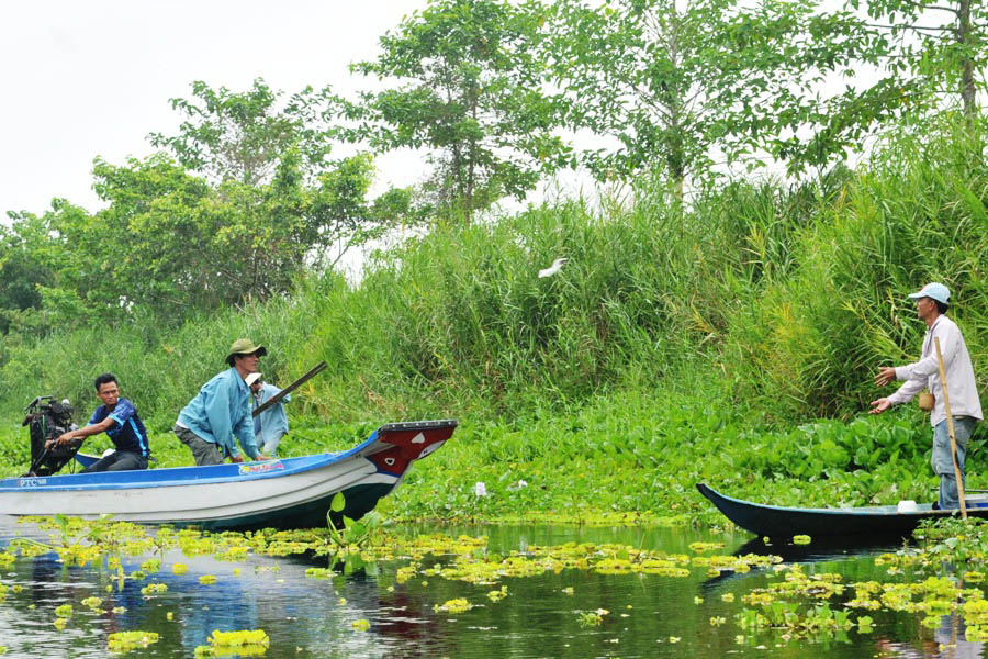 Parc national d'U Minh Ha
