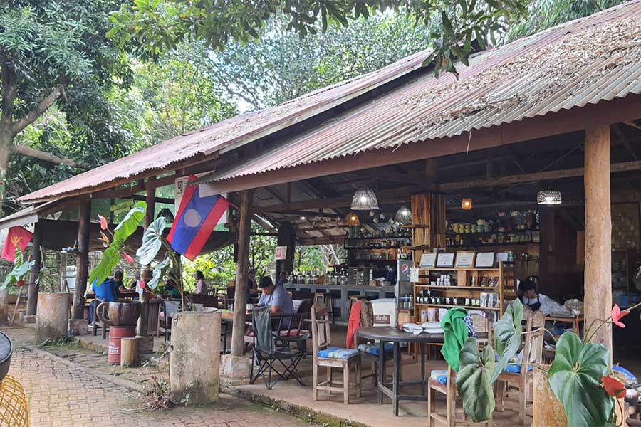 Un joli café local au plateau Bolavem