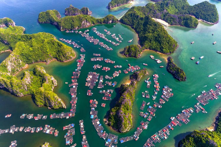 Cai Beo est un village flottant dans la baie de Lan Ha
