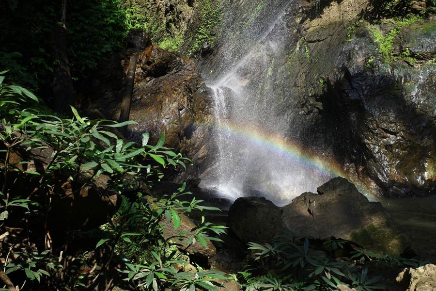 Faire de la  randonée autour de la cascade de Mok Fa pour admirer le paysage luxuriant