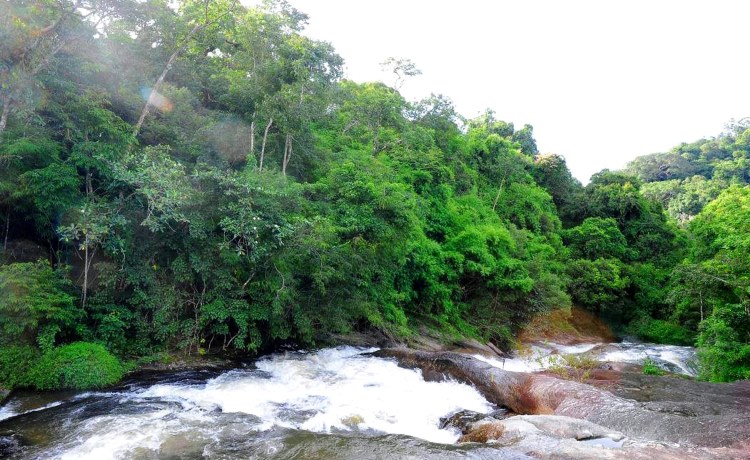 La cascade de l'Ours