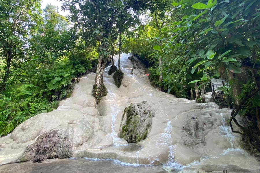 Les visiteurs peuvent découvrir la nature entourant la cascade Stick