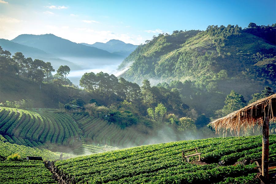 Chiang Mai 3 jours 2 nuits - découvrir la nature du Nord Thailande