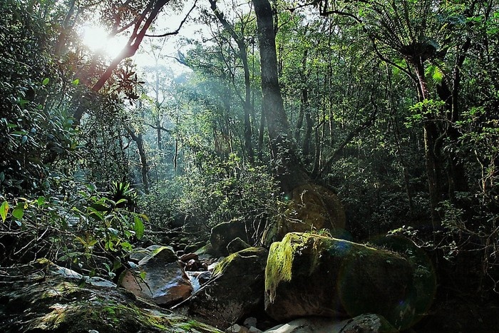 Le parc national Chu Yang Sin