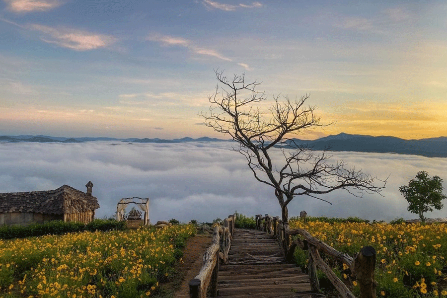 Colline embrumée à Đà Lạt, ville romantique et destination authentique du Vietnam