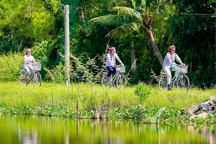 Les touristes explorent les villages dans le Delta du Mékong  à vélo