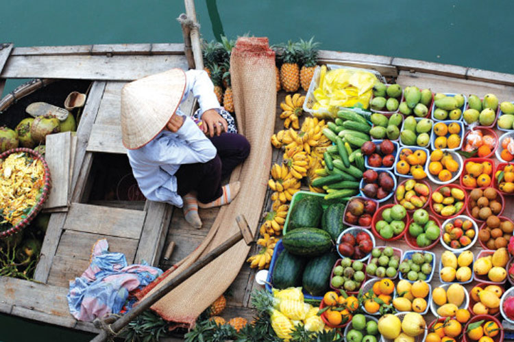 Les fruits de spécialité de la région du Delta du Mékong