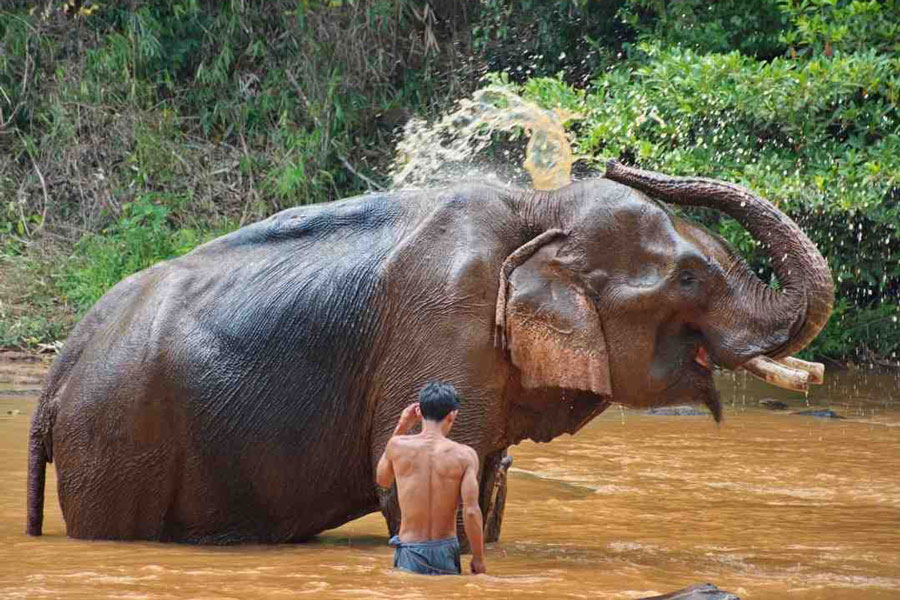 Choses à éviter en visitant Cambodge : Conseils pour les voyageurs