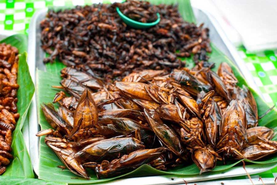 Top 7 des plats à goûter absolument à Vientiane