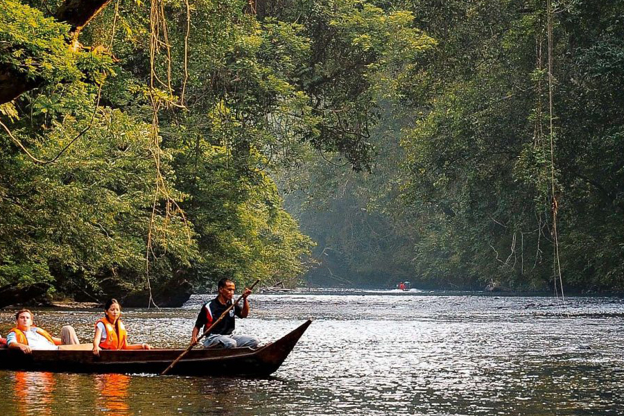 Taman Negara s’impose comme l’une des destinations à ne pas manquer en Malaisie