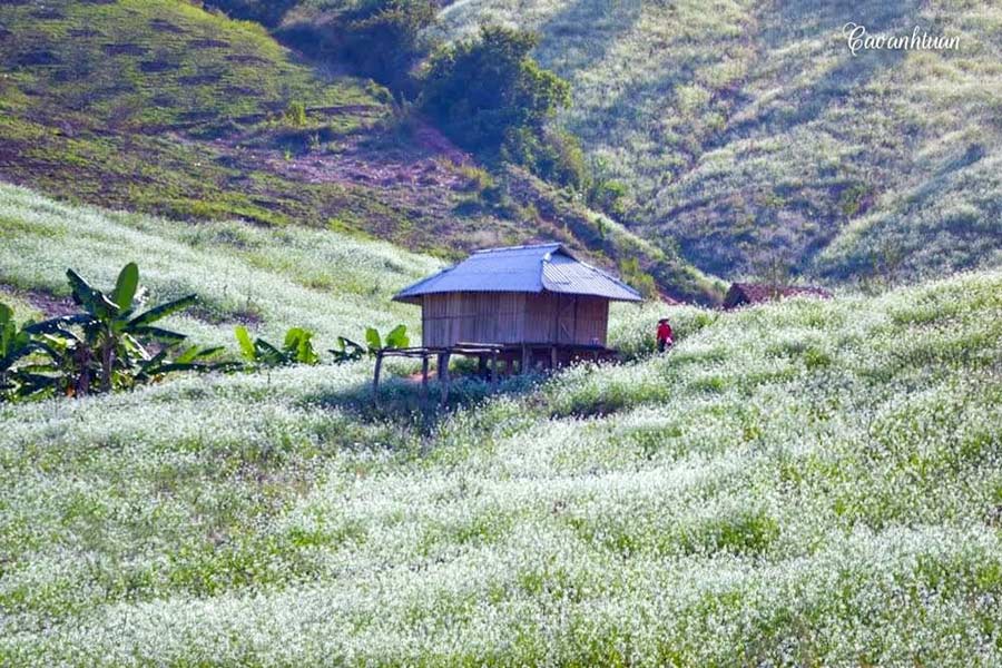 Empochez 10 destinations à ne pas manquer du nord au Vietnam en novembre.