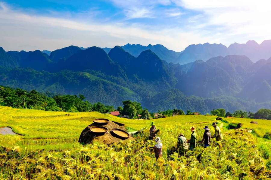  destinations hors des sentiers battus au Nord du Vietnam - pu luong