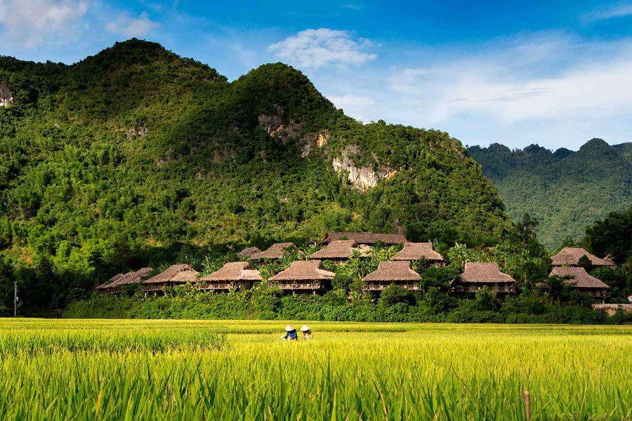 Mai Chau est l'une des destinations incontournables dans le circuit combiné Vietnam - Laos