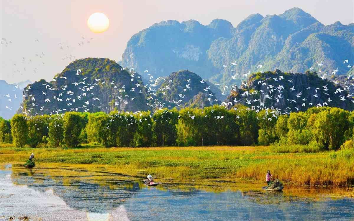 Jardin des oiseaux de Thung Nham, sanctuaire naturel avec biodiversité et oiseaux rares
