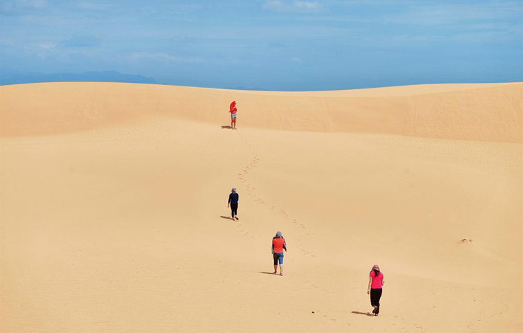  Le paysage majestueux, vaste et vaste des dunes de sable de Nam Cuong