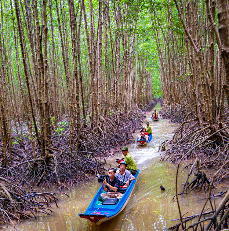 L'excursion à travers de la forêt en bateau au parc national de Cap Ca Mau