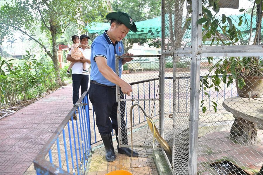 Ferme aux serpents de Dong Tam