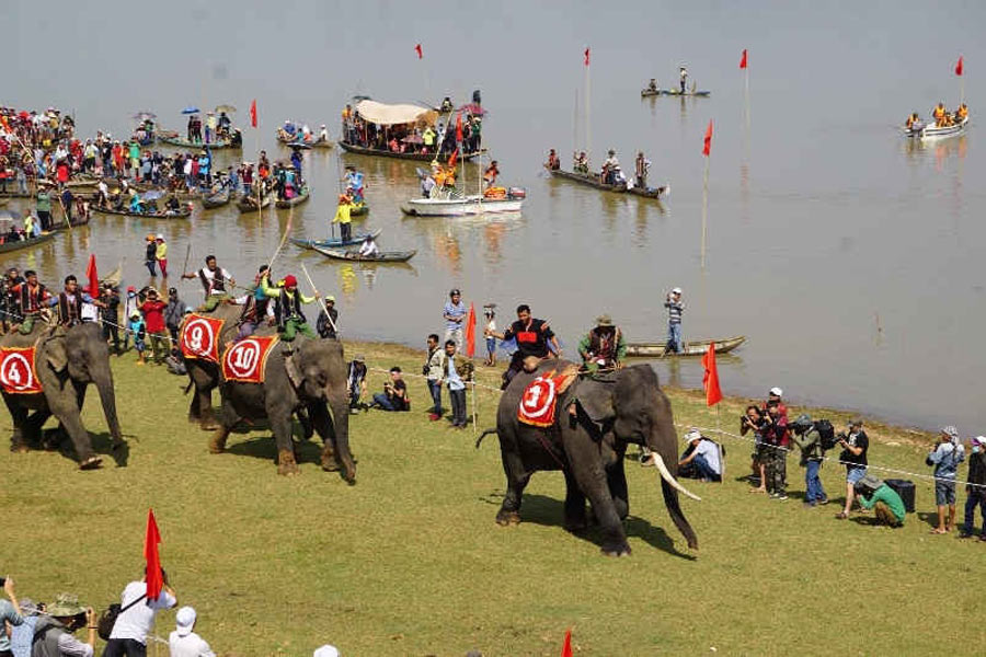 Festival de courses d'éléphants à Dak Lak