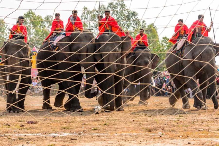 Festival de courses d'éléphants à Dak Lak