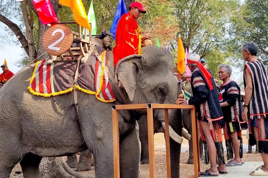 Festival de courses d'éléphants à Dak Lak