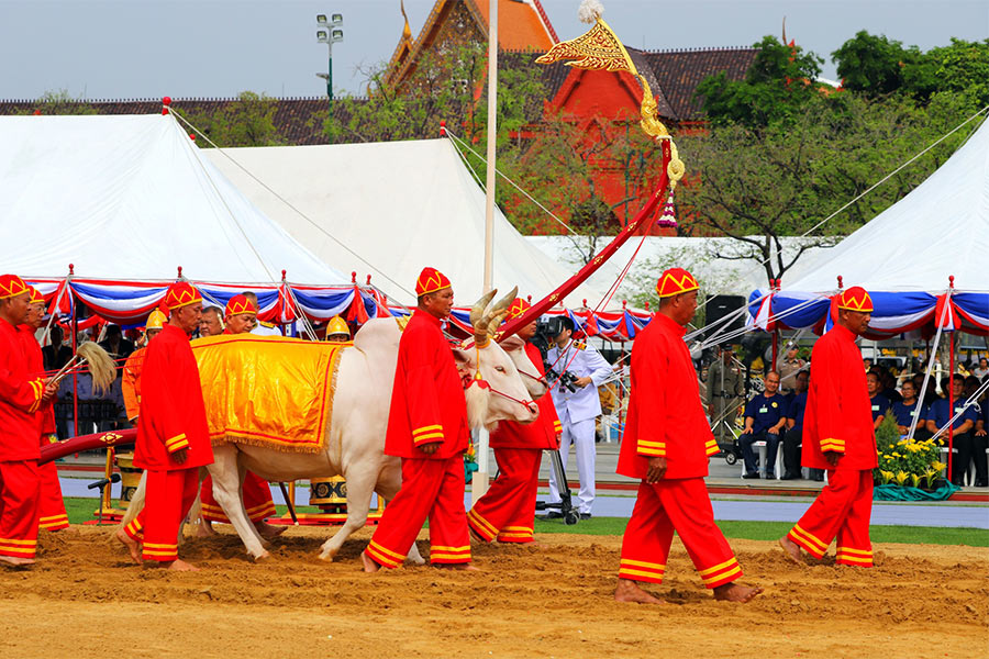 La cérémonie royale de labourage est la fête au Cambodge qui commence la saison de récolte