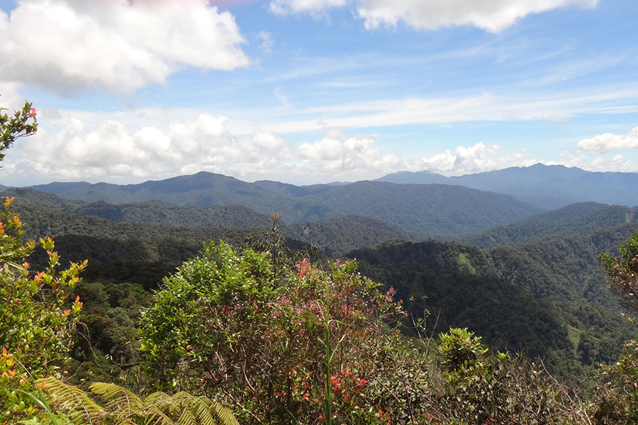 La Colline de Fraser