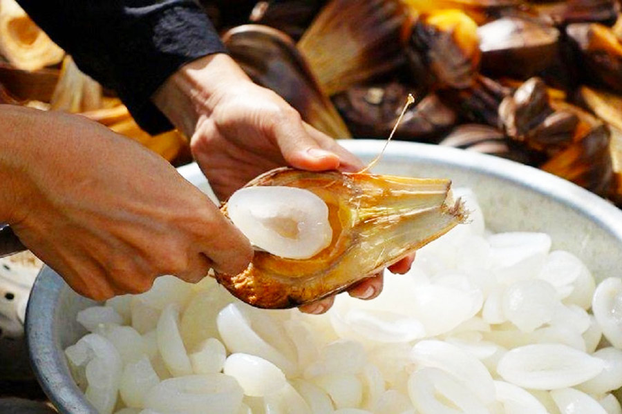 Fruits au Vietnam: Palmier Nypa