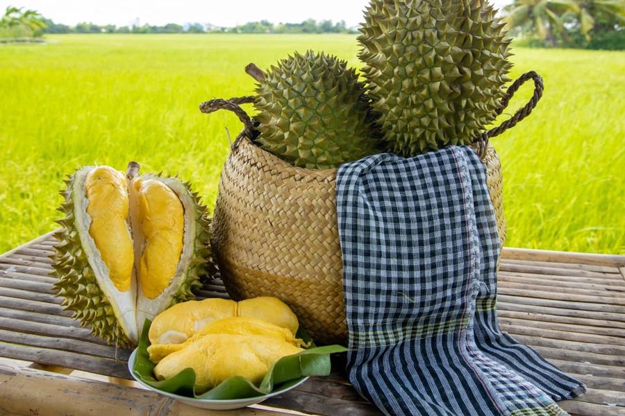 Fruits au Vietnam: Durian