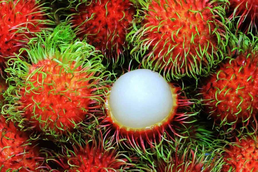 Fruits au Vietnam: Ramboutan