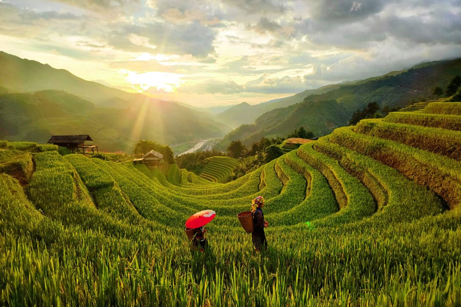Fusion des provinces au Vietnam