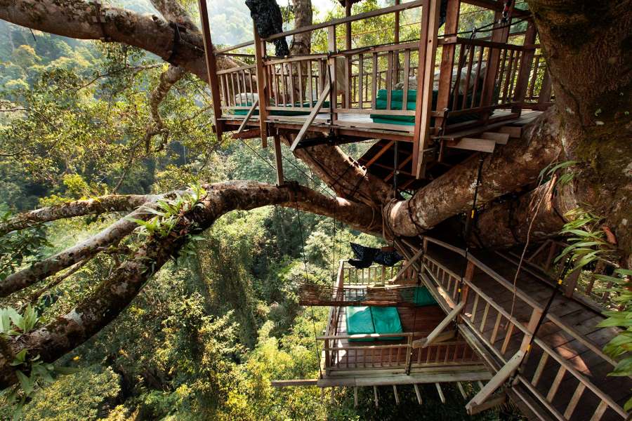 Une maison dans arbre à Gibbon Experience