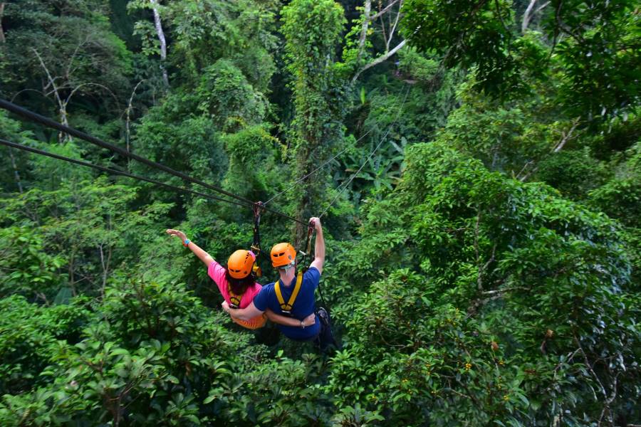 Zipline à travers la jungle à Gibbon Experience