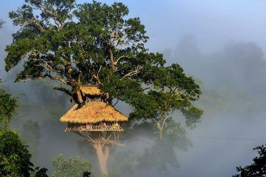 Gibbon Experience est l'un des premiers établissement de l'écotourisme du Laos