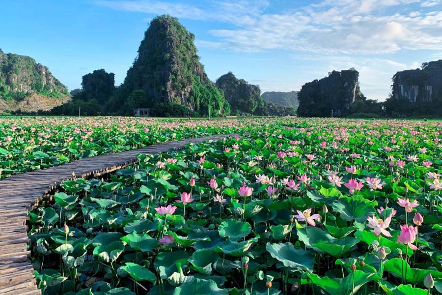 La grotte de Mua est une attraction de Ninh Binh