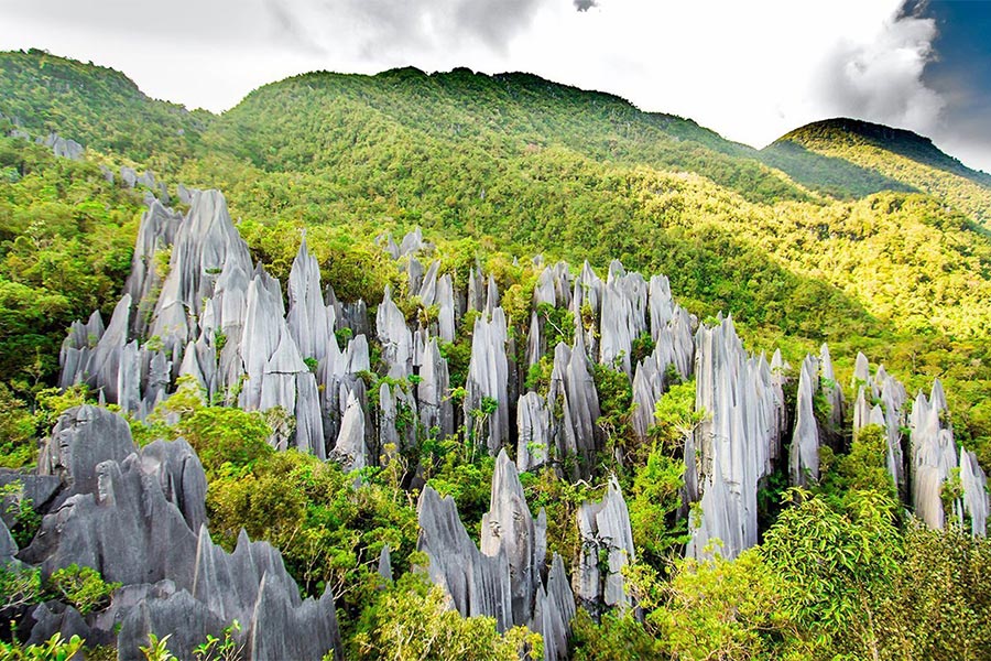 Gunung Mulu est l'un des sites de patrimoine mondial de la Malaisie