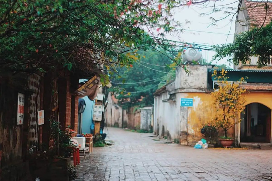 Une excursion au village de Duong Lam pendant l'hiver à Hanoi est une expérience unique