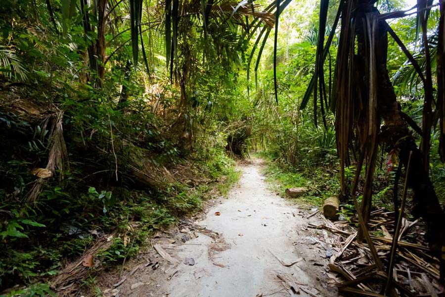 L'île de Pangkor convient également aux amateurs de trekking