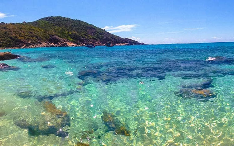 Le climat sur l'île Robinson est idéal pour le tourisme insulaire toute l'année