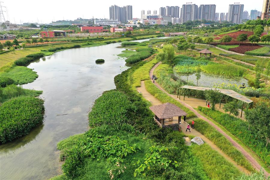 Parc Taman Wetland 