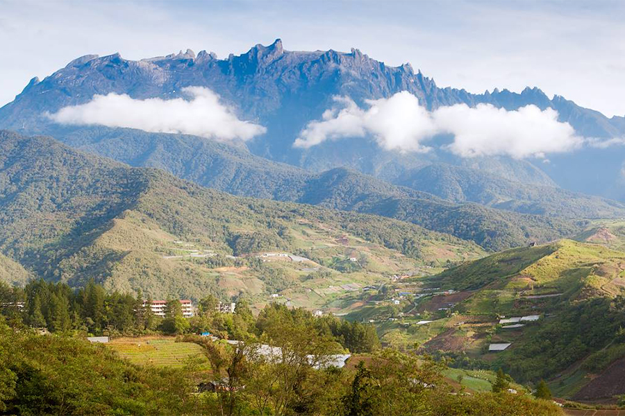 Les parcs nationaux (Kinabalu, Bako)