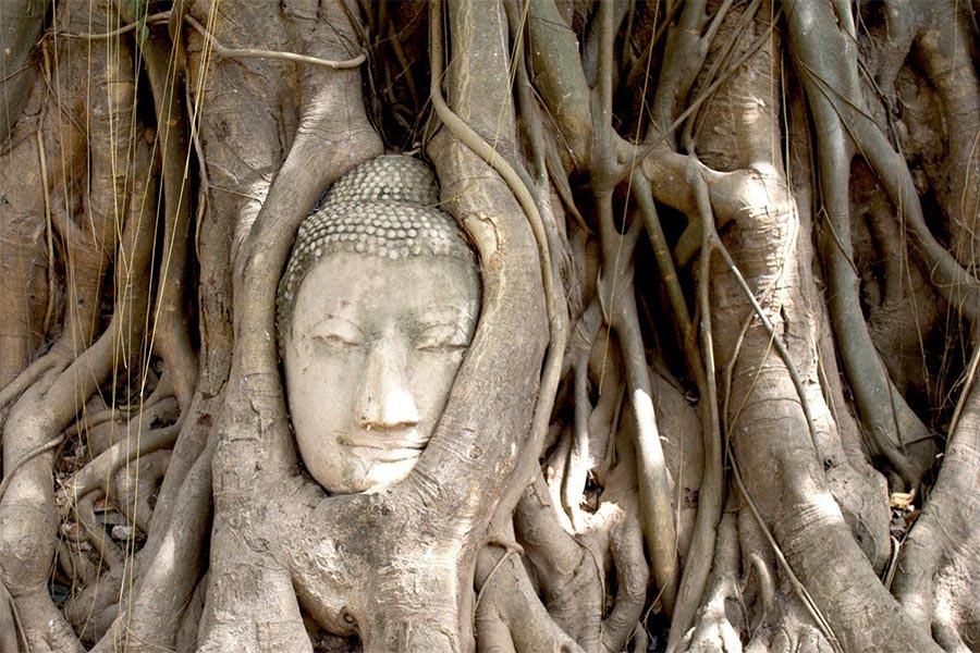 Itinéraire de 10 jours en Thailande, troisieme jour à Ayutthaya