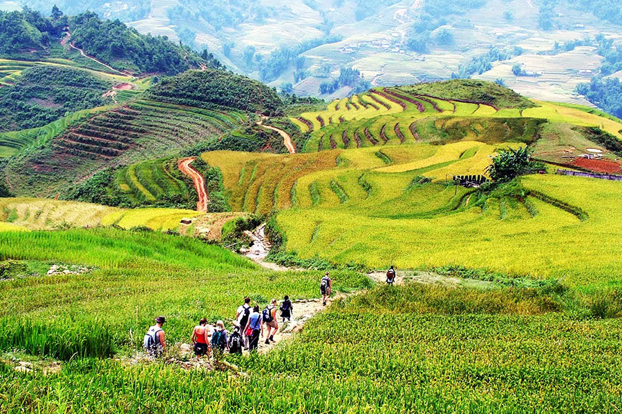 Les rizières en terrasses de Sapa ne cessent d’émerveiller les voyageurs
