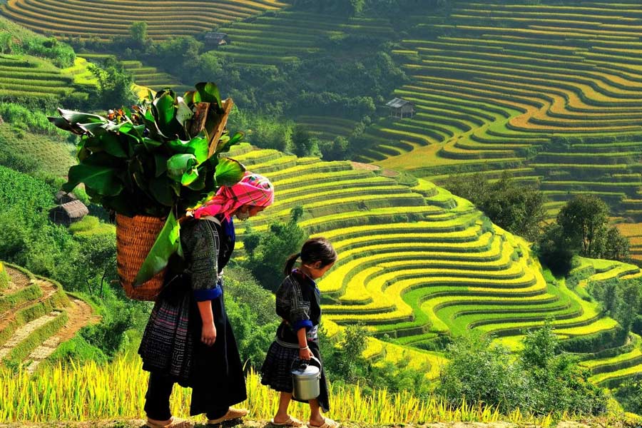 Itinéraire pour un voyage 3 semaines au Vietnam