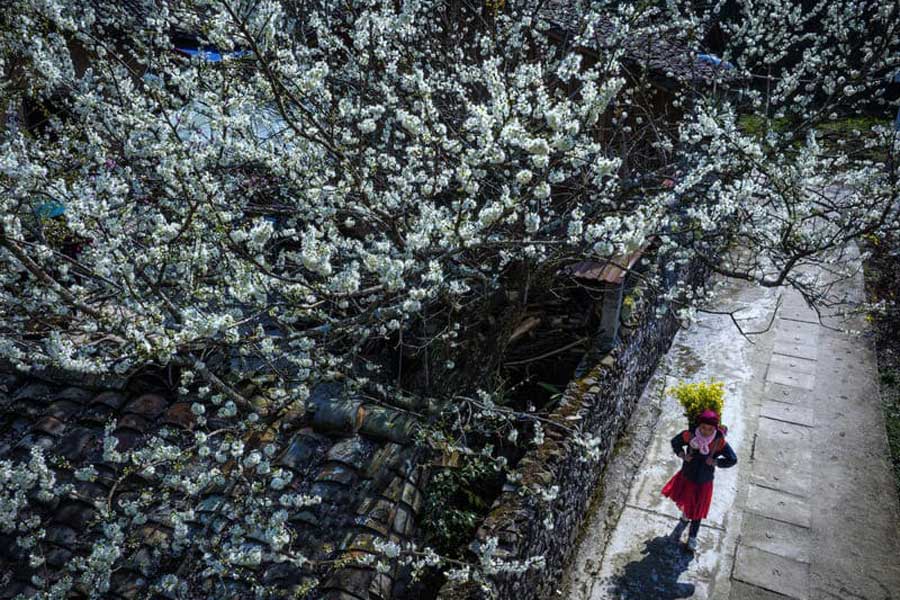 Itinéraire recommandé de voyage au Nord Vietnam en hiver