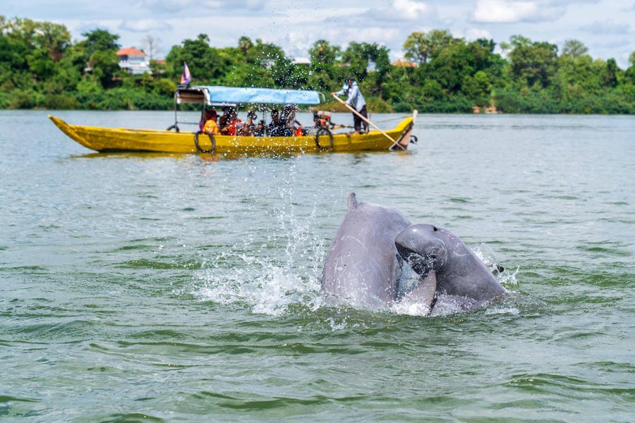 Kratie est une attraction dans les itinéraires bien recommandés dans le circuit Vietnam Cambodge.