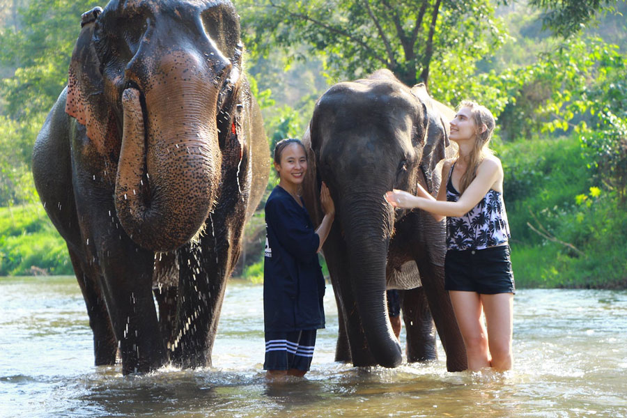 Kanchanaburi ou Chiang Mai : quelle destination choisir pour votre voyage en Thaïlande ?