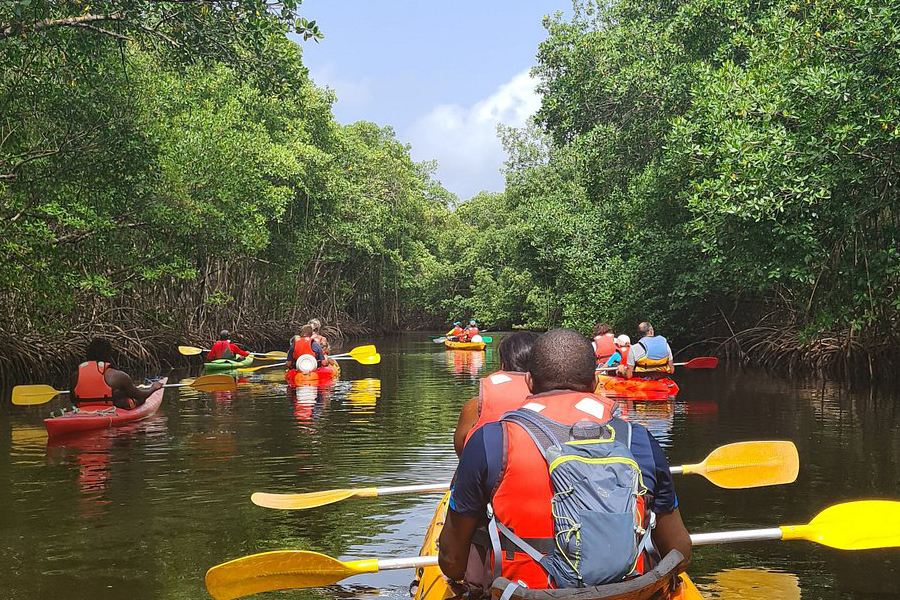 Naviguer en kayak à travers les mangroves de l’île de Koh Kut est une expérience sensorielle unique