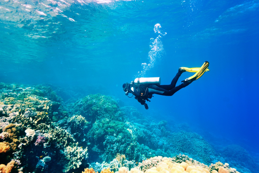 L’île de Koh Kut est une destination de rêve pour les amateurs de fonds marins et d’exploration sous-marine